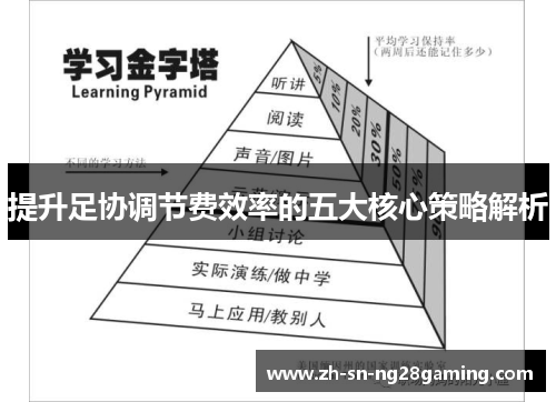 提升足协调节费效率的五大核心策略解析 提升足协调节费效率的五大核心策略解析