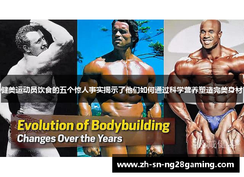 健美运动员饮食的五个惊人事实揭示了他们如何通过科学营养塑造完美身材 健美运动员饮食的五个惊人事实揭示了他们如何通过科学营养塑造完美身材