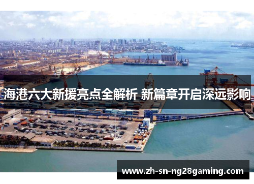 海港六大新援亮点全解析 新篇章开启深远影响