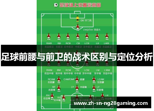 足球前腰与前卫的战术区别与定位分析