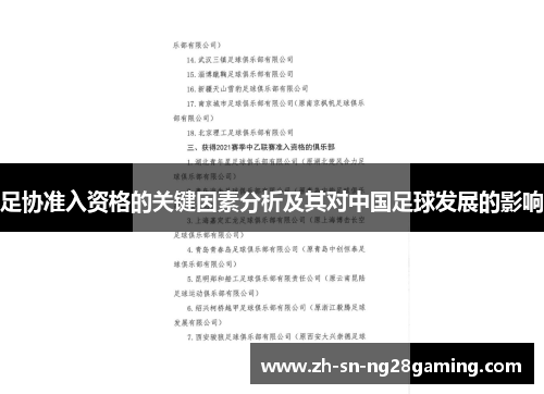 足协准入资格的关键因素分析及其对中国足球发展的影响 足协准入资格的关键因素分析及其对中国足球发展的影响