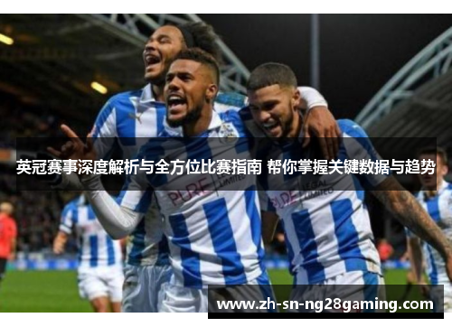 英冠赛事深度解析与全方位比赛指南 帮你掌握关键数据与趋势