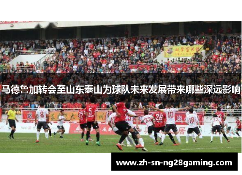 马德鲁加转会至山东泰山为球队未来发展带来哪些深远影响