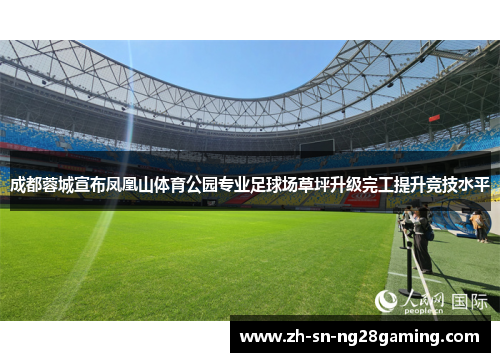 成都蓉城宣布凤凰山体育公园专业足球场草坪升级完工提升竞技水平 成都蓉城宣布凤凰山体育公园专业足球场草坪升级完工提升竞技水平